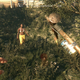 Image for article titled Tips For Playing Dying Light